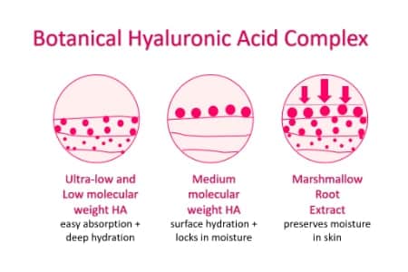 Botanical-Hyaluronic-Acid-Complex