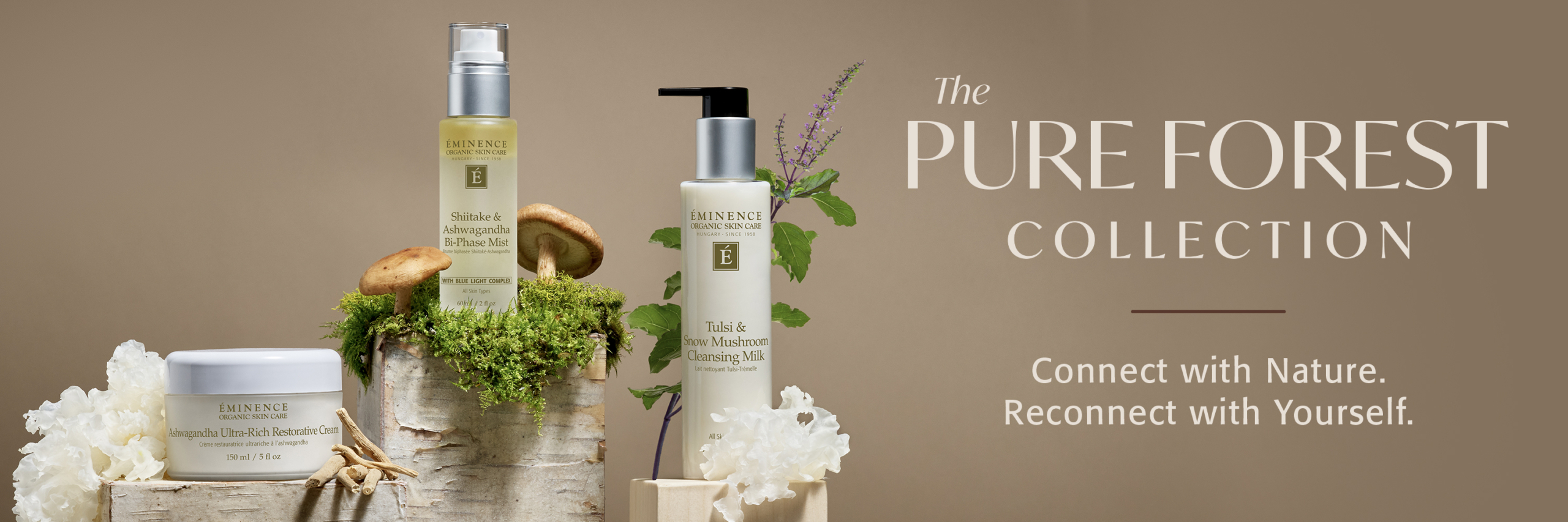 Fall-2025-X-Cover-Image