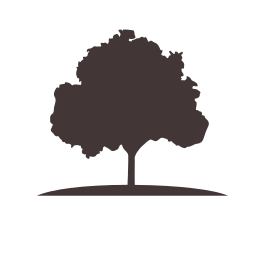 Tree plant product sold with circle How it all Started Eminence Organic Skincare