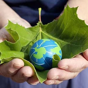 Commitment To The Environment Globe